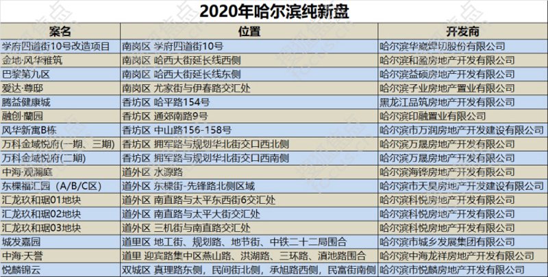 哈尔滨房地产开发商案例解析：市场洞察与策略选择